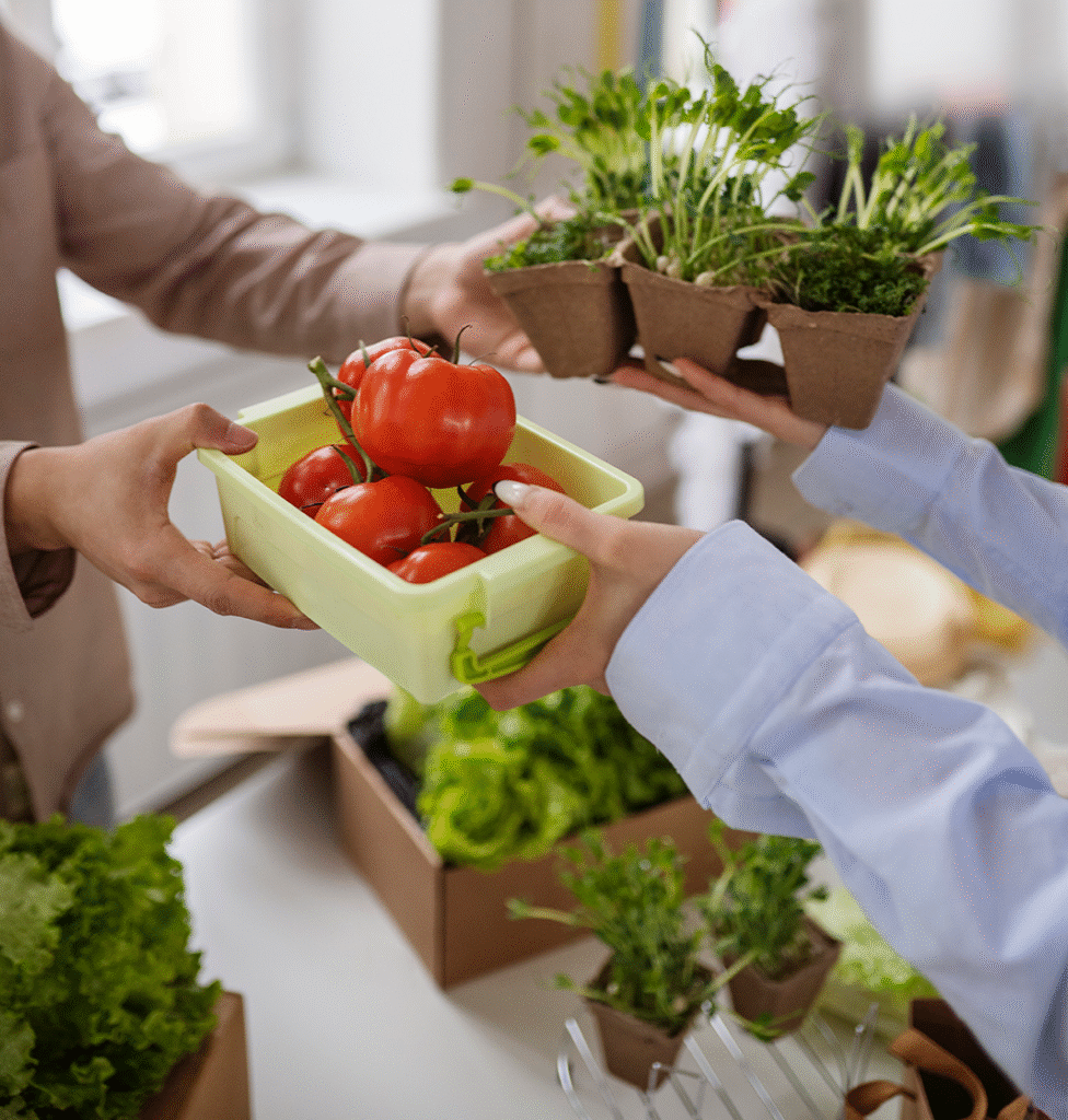 Feira de troca entre produtores locais, símbolo de um estilo de vida sustentável baseado em colaboração, permacultura e consumo consciente.