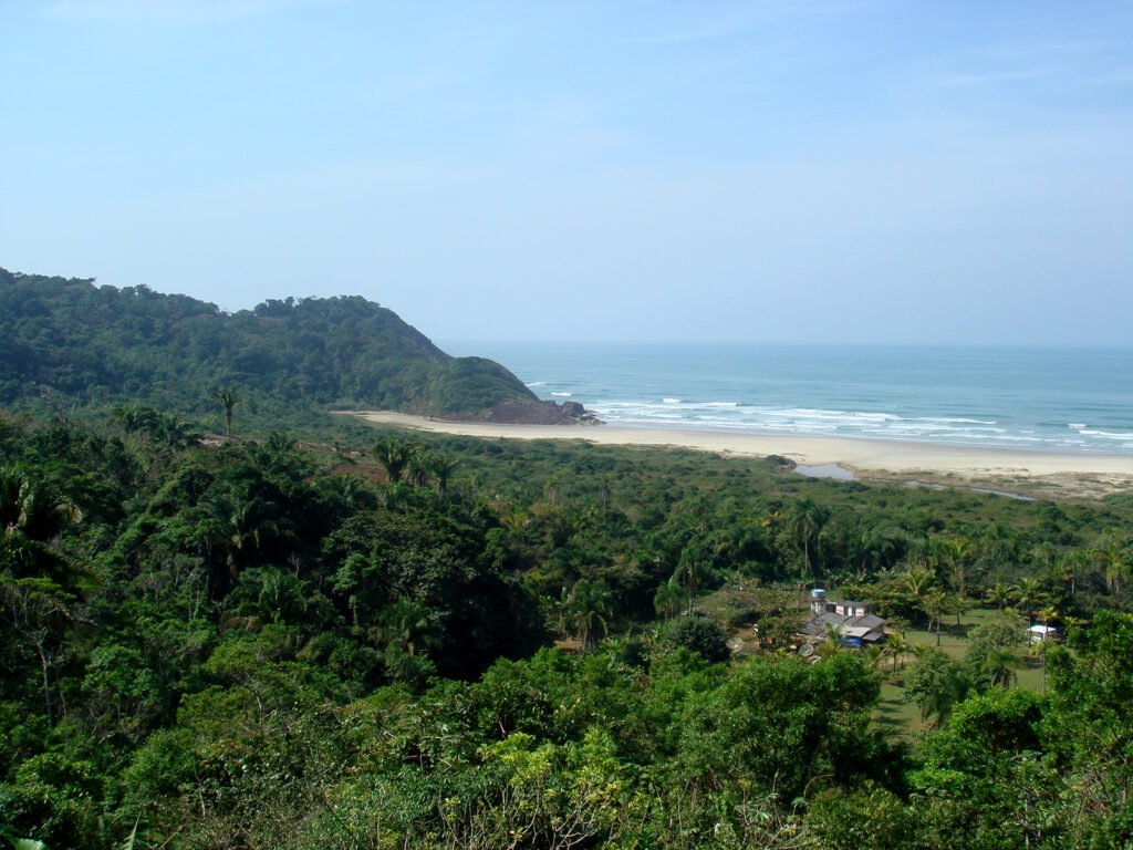 Estação Ecológica Juréia-Itatins, um exemplo entre os parques e reservas naturais do Brasil, onde a biodiversidade ainda resiste preservada.