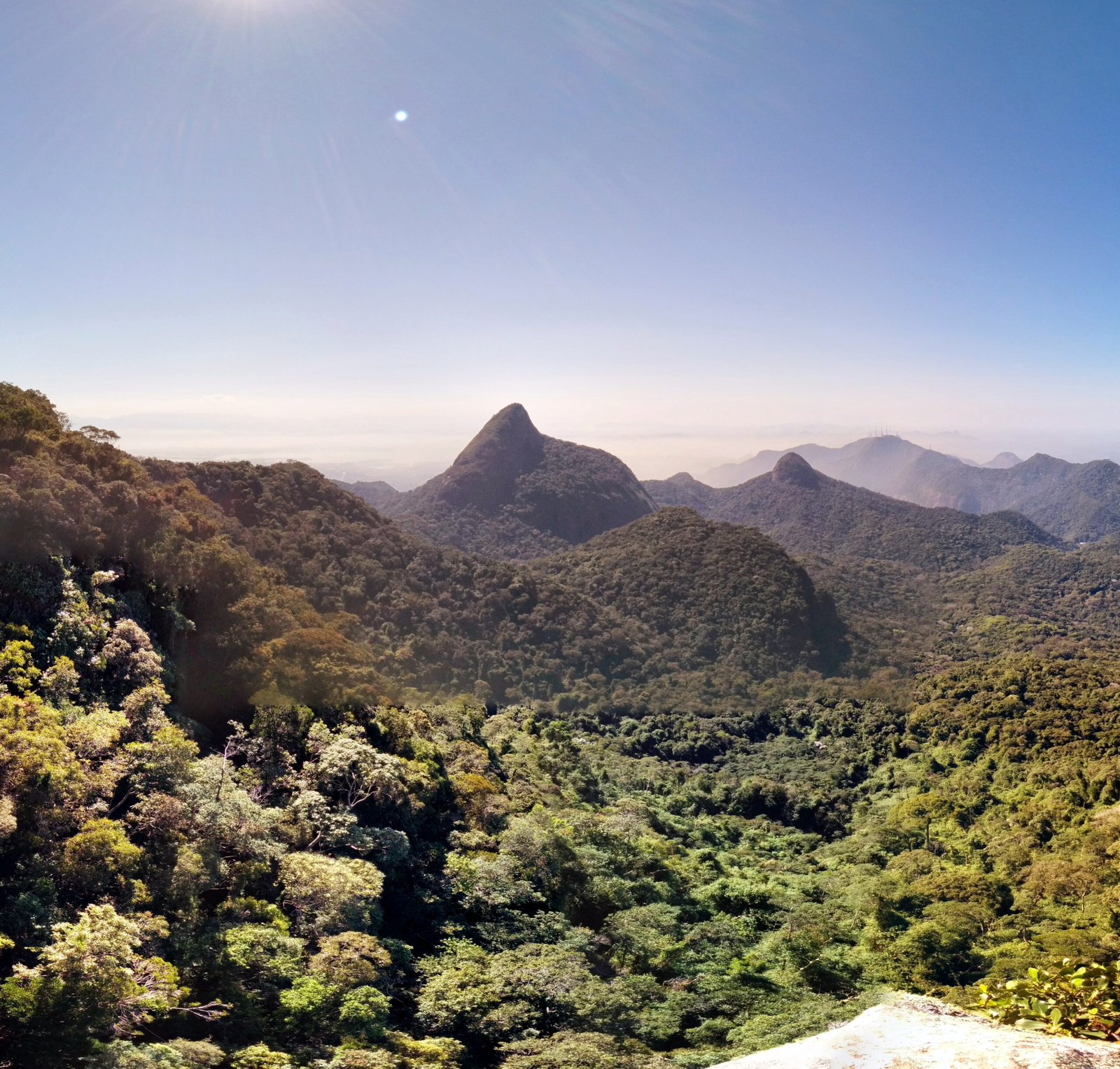 Panorâmica da Floresta da Tijuca com destaque para o Pico do Papagaio, no Parque Nacional da Tijuca, Rio de Janeiro.