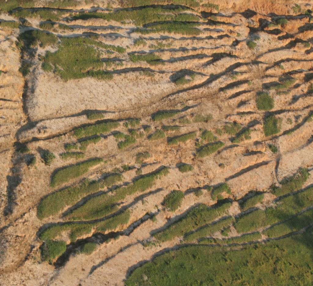 Erosão em solo agrícola de Piracicaba (SP), exemplo de degradação que ameaça a regeneração do solo.