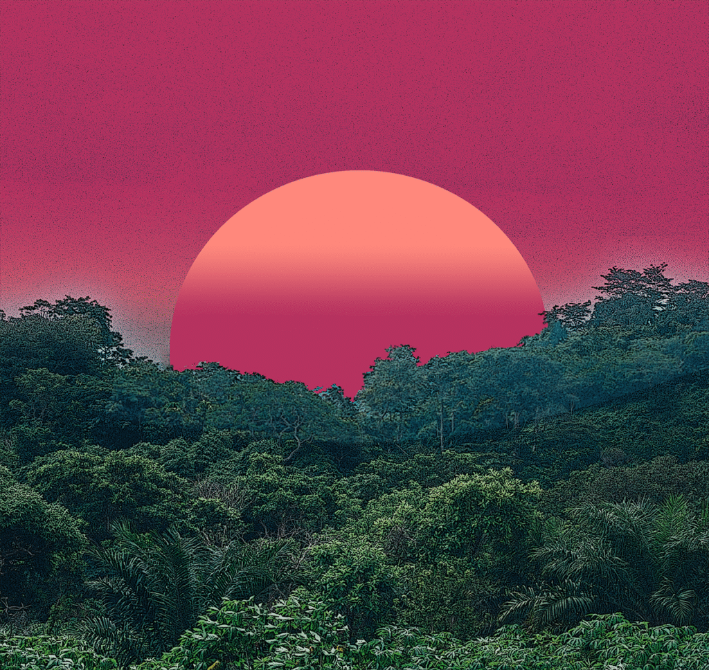 Aurora esperançosa sobre floresta em regeneração, ligada aos territórios da resistência dos indígenas – quilombolas e os ODS