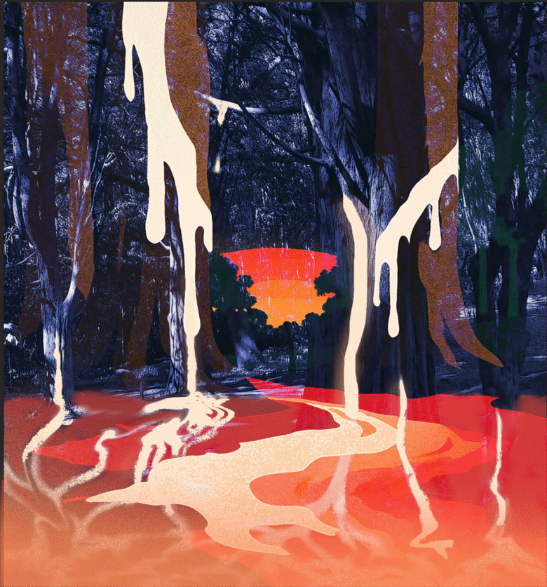 Aurora trágica em floresta devastada, referência a resistência indígenas - quilombolas e os ODS