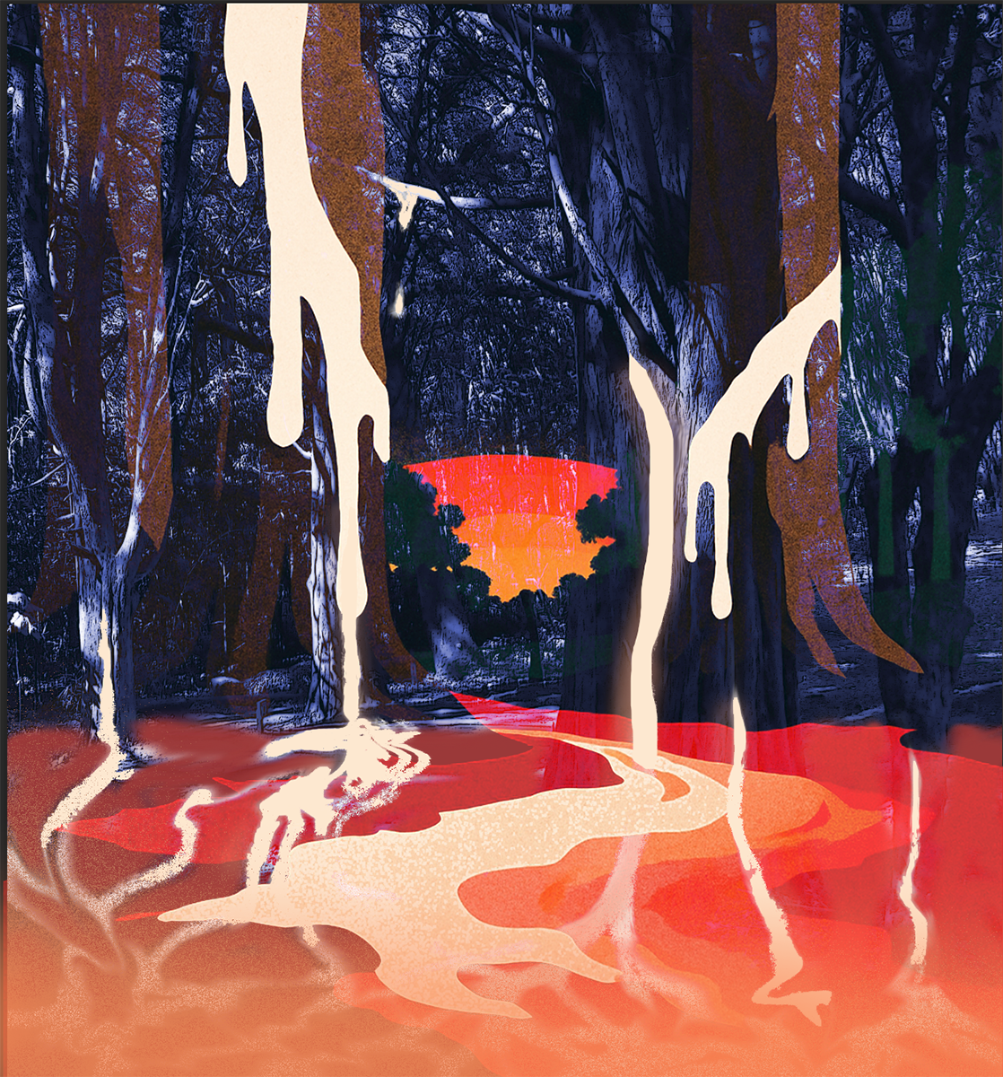 Aurora trágica em floresta devastada, referência a resistência indígenas - quilombolas e os ODS